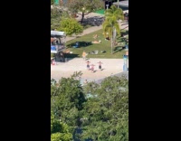 Collab IITW - Three shirtless men dances at beach resort