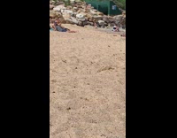 Girl white bikini kneel beach tripod rocks