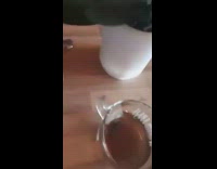 Collab DailyDoseOfInternet - Cat take spoon from teacup table plant