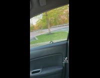 Goose looks up from outside of car door window head