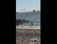 Black shorts guy bends over beach shore 