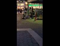 Bands playing at park on New Years Eve