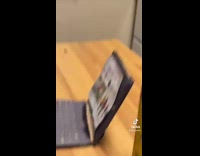 Collab Clips mpugc - Girl working looks at cats laptop