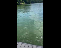 Collab Clips MPUGC - Woman throws cheetos as bait for friend 