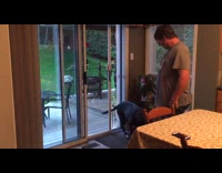 Dog learns how to open sliding door 
