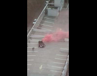 Black convertible car with pink smoke rooftop