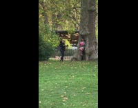 Girl pink top cleavage lean tree park