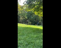 Man rides bike with sword in park