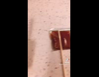 Storing tomato paste life hack 