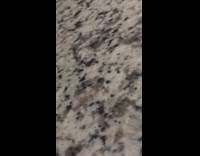 Brother asks for password laptop none of