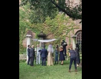 Gorilla monkey costume wedding brown building grass 