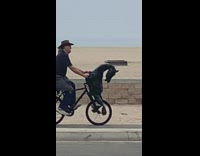Collab Kook Of The Day - Black horse bicycle cowboy hat guy beach 