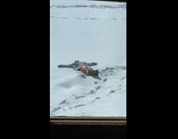 Woman in bikini snow angel at backyard