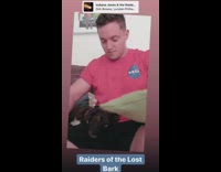 Guy lifts head black dog green pillow 