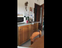Cat knocks cup of food off of counter