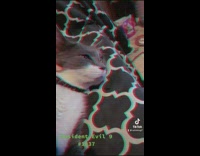 Pet cat suspected to be a zombie by owner Part 1