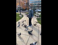 Man stands at park with pigeon around