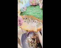 Carved pumpkin waterfall water fountain mini tree