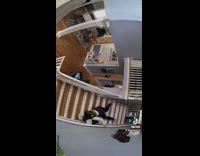 Collab BitchMP - Security camera in home woman falls down stairs 