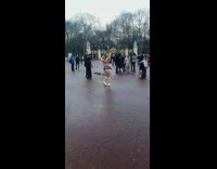 Girl black lingerie buckingham palace white shoes