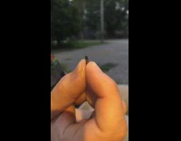 Guy bop head like worm between fingers