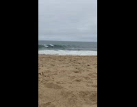 Large ocean wave knocks out surfers