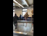 Collab Subway Creatures - Rat guy on metal bar by escalator 