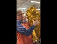 Girl goes to shop with her parents 