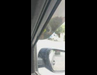 Small green spider makes web on the car window