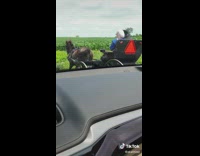 Collab BitchMP - Amish couple driving down side of road horse buggy