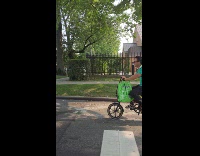 Dog rides at the back of bike 