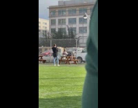 Woman pink top tiktok dance bench park