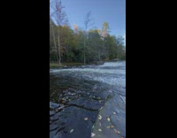 Guy blue shirt sit on log river