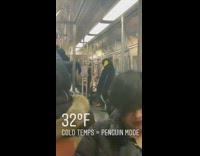 Penguin costume guy rides train pt. 3 