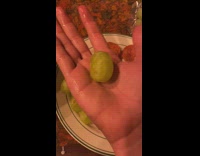 Person hold a large green grape