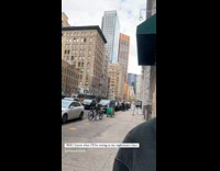 Collab WINY - Person with panda head walks with rose