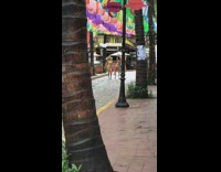 Two women yellow bikini sexy dance walkway