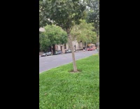 Man skateboard selfie street wonder woman park