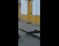 Orange shirt girl does splits pose street