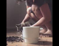 Girl makes cat put soil back pot