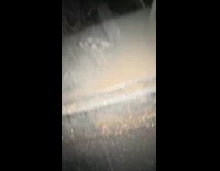 Woman sees racoon cubs hiding inside fireplace 