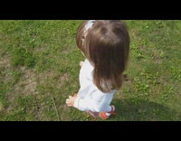 Heron bird catch small fish on pond