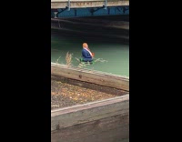 Donald Trump on tube with snaked on floating in river