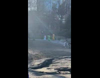 Three People Walk Around in Animal Costumes 