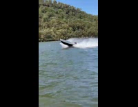 Guy drives blue white boat across lake 