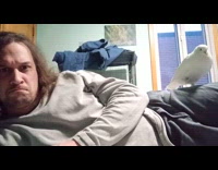 Pigeon bows when man looks at him