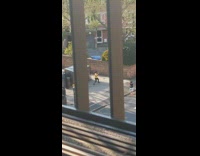 Man yellow shirt kung fu karate sidewalk shade