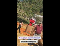 Recording of man in koolaid man costume at pumpkin patch
