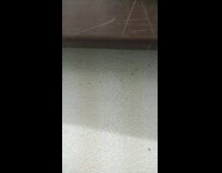 Coffee blows at the floor and ants stops to move 