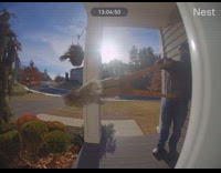 Man holds squirrel using hole shovel escapes